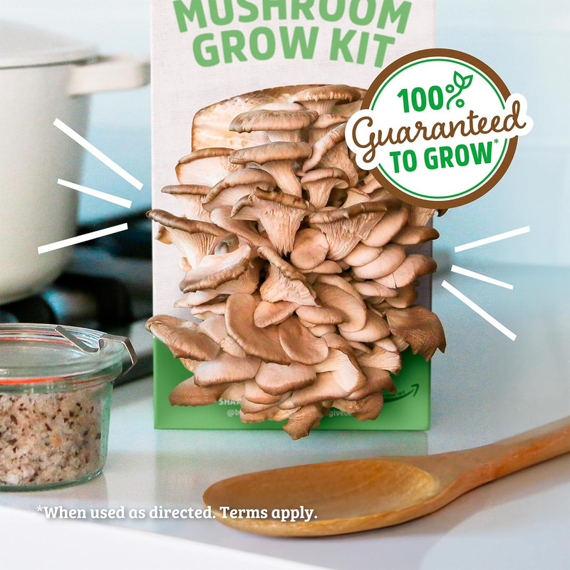 Organic Oyster Mushroom Grow Kit, Harvest Gourmet Mushrooms in 10 Days gallery