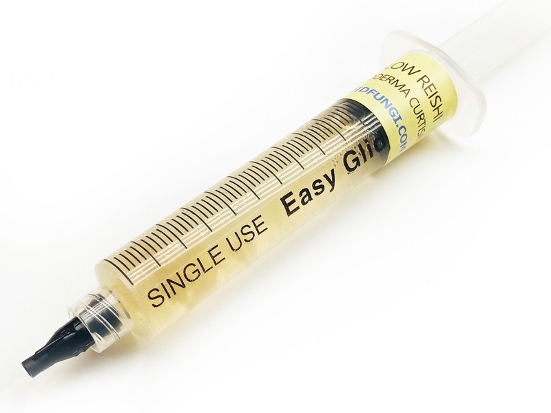 Yellow Reishi Mushroom Liquid Fungi Live Culture Syringe 10ml gallery