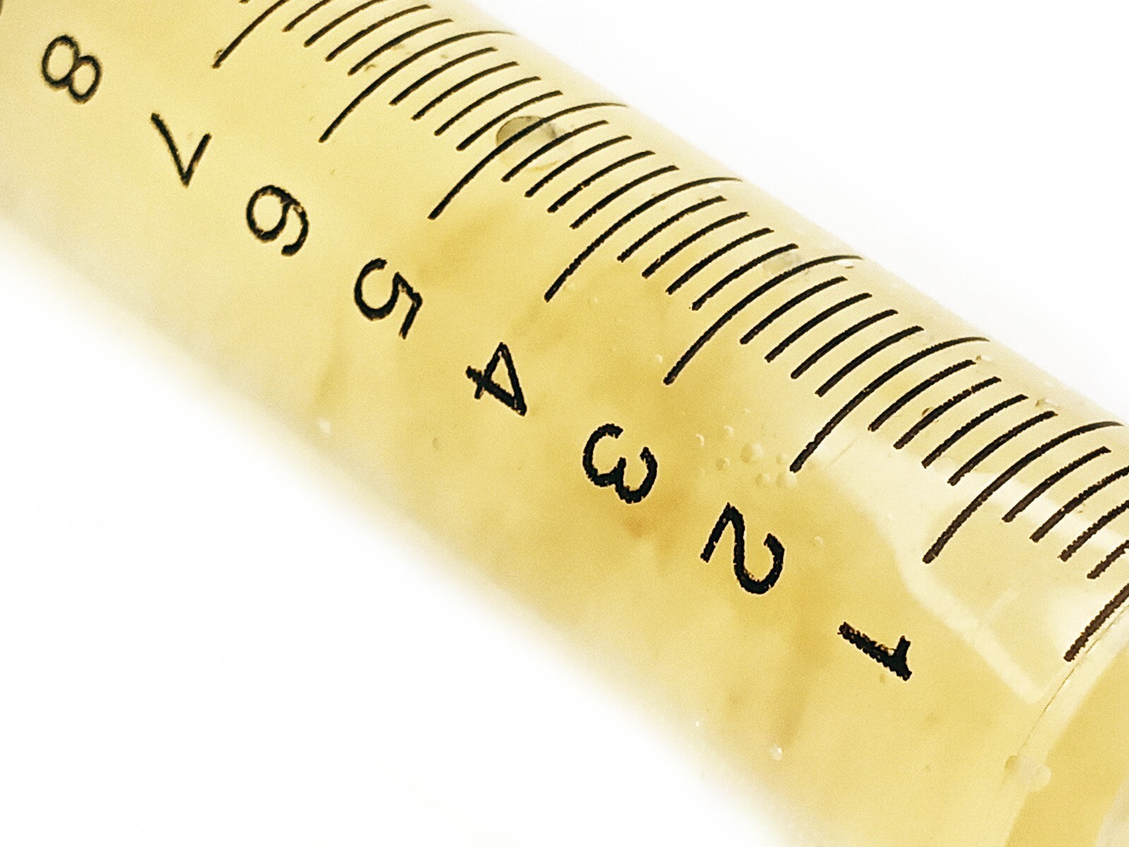 Yellow Reishi Mushroom Liquid Fungi Live Culture Syringe 10ml gallery