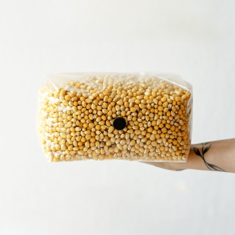 3lb Drippy Corn Grain Spawn gallery