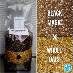 Premium Exotic Dung ALL-IN-ONE Mushroom Grow Kit 1 Pack Kit 5lb Bag 🍄✨️