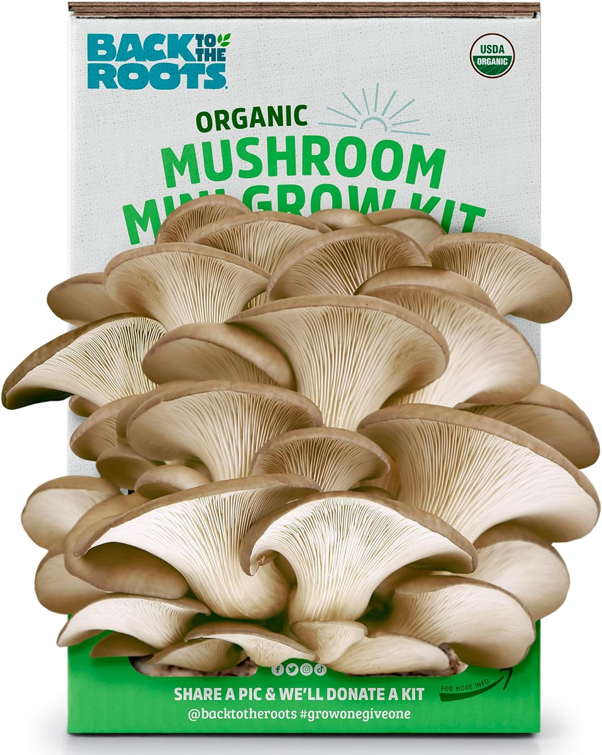 Organic Mini Mushroom Grow Kit, Harvest Gourmet Oyster Mushrooms in 10 Days, Top gallery