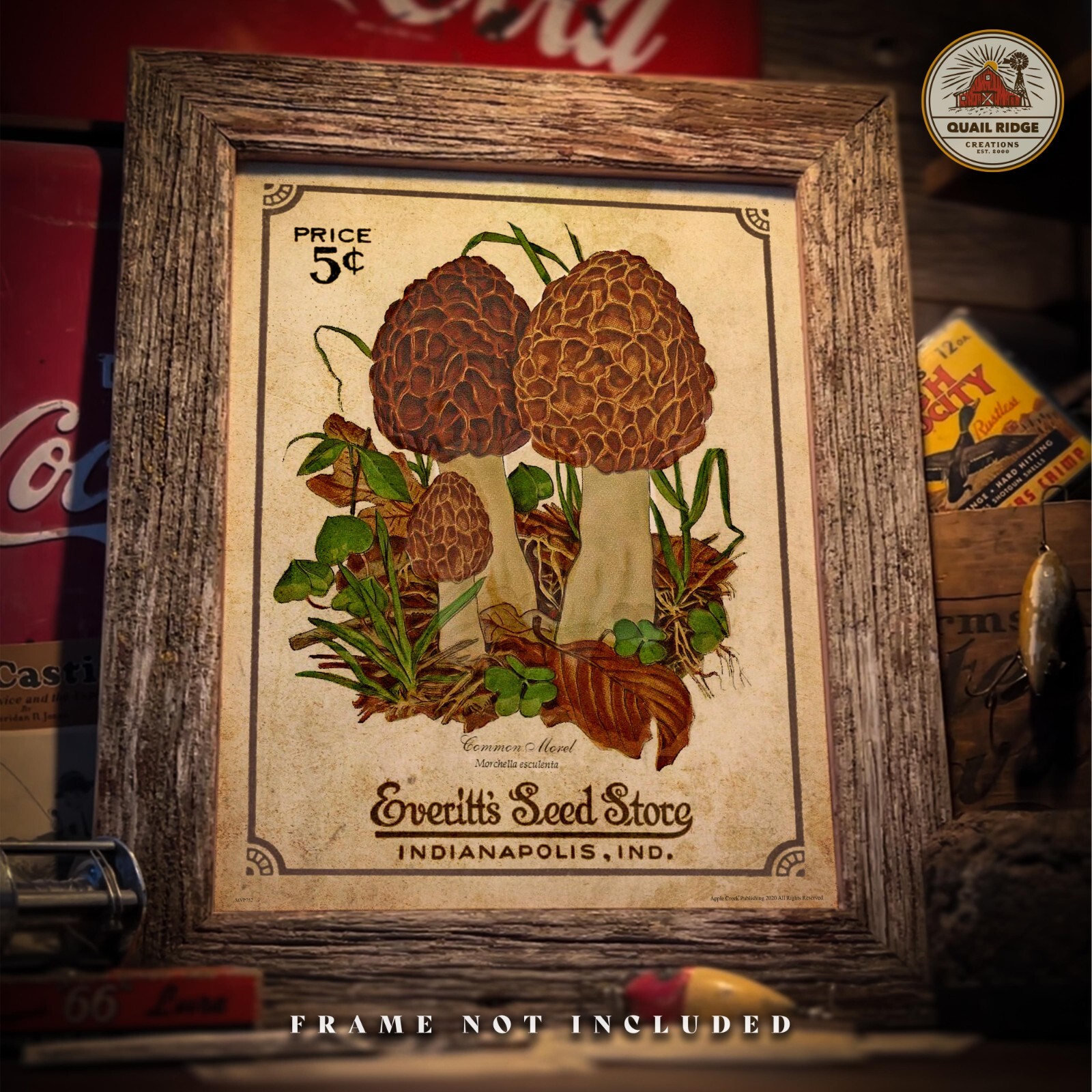 Morel Mushrooms Art Print 11x14 Mushroom Hunting Artwork Cabin Wall Decor Gift gallery