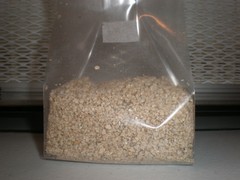 BRF BAGS Brown Rice Flour Mushroom Substrate Grow Bags / Sale is for 24 bags