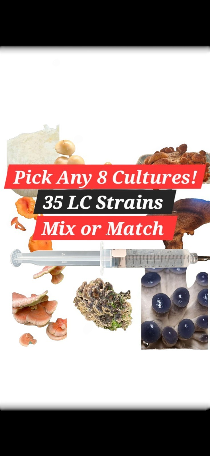 Mushroom Liquid Culture Mycelium Syringes, 10 ml, Pick Any 8, Mix or Match gallery