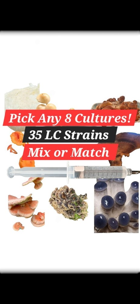 Mushroom Liquid Culture Mycelium Syringes, 10 ml, Pick Any 8, Mix or Match