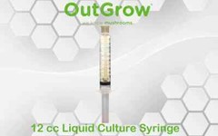 Tropical Bracket (Ganoderma tropicum) Liquid Culture