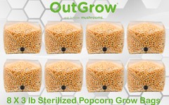 Sterilized Popcorn Grow Bag (24lbs)