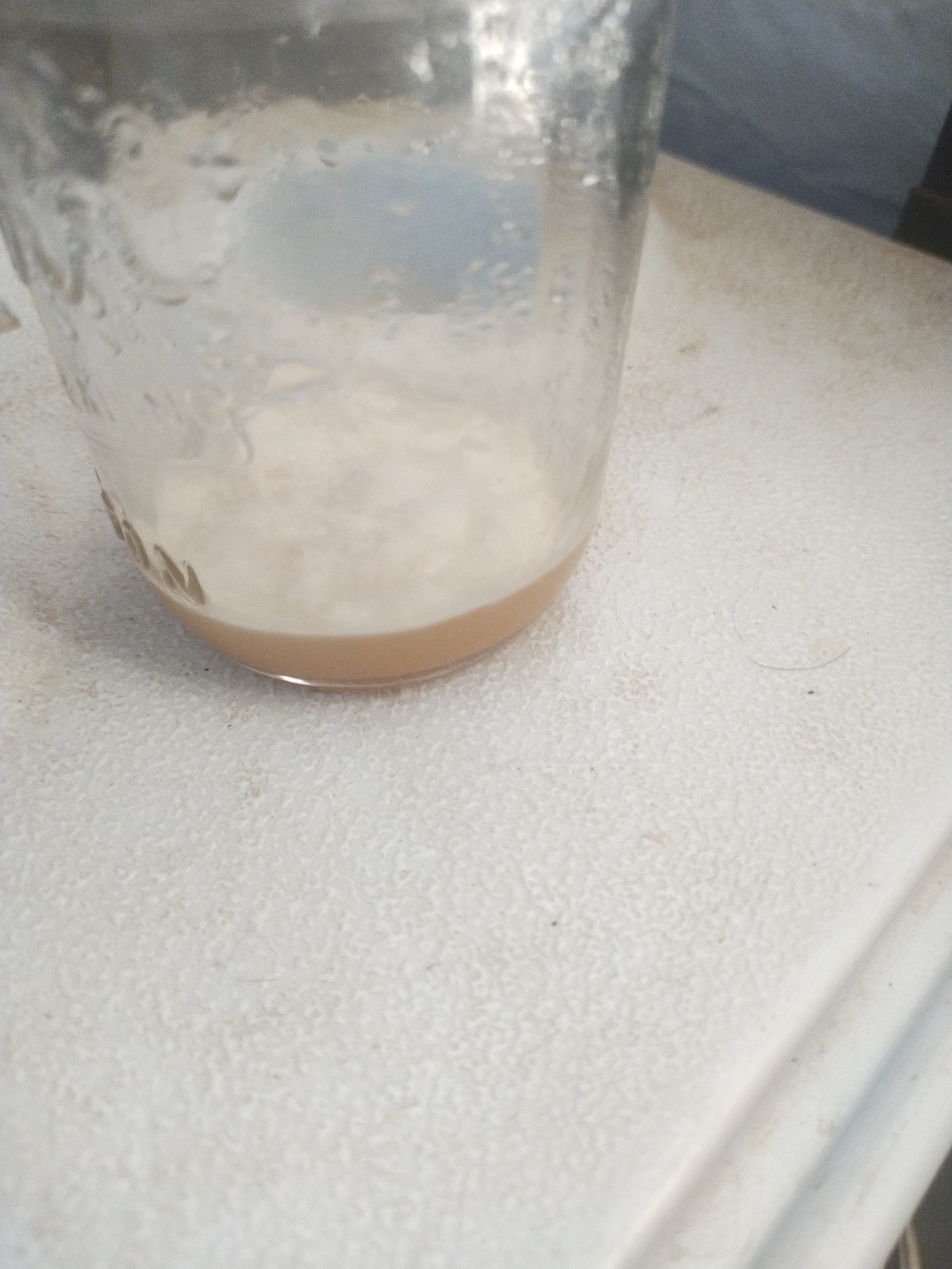 Pink (Flamingo) Oyster Mushroom Liquid Fungi Culture 10ml. gallery