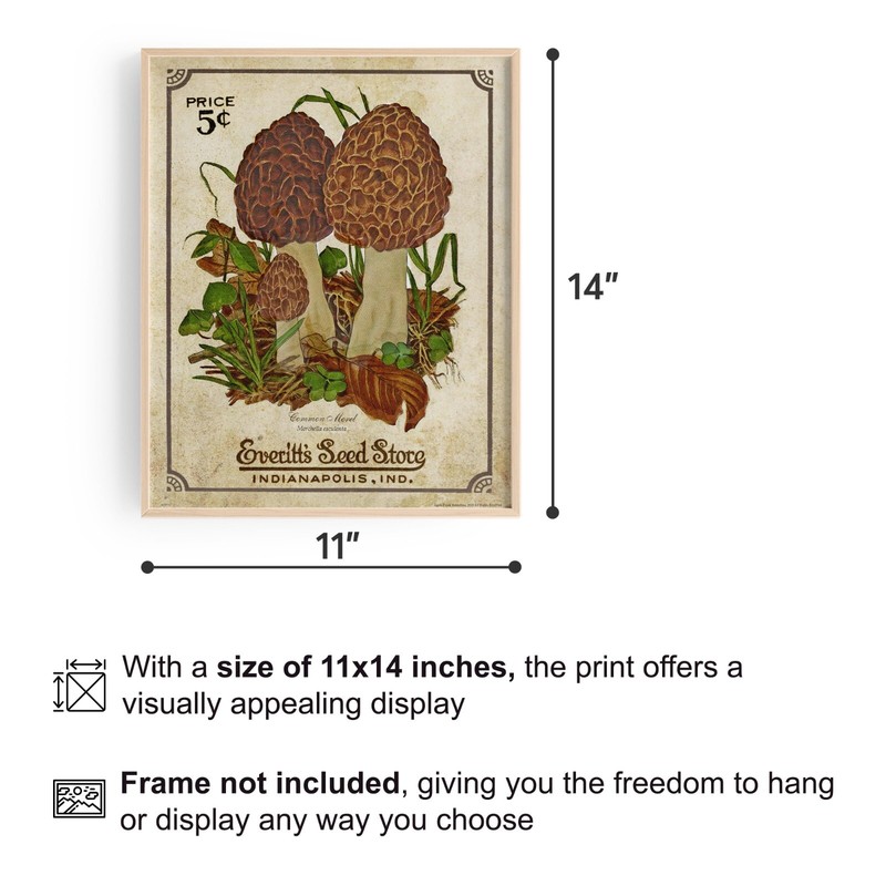 Morel Mushrooms Art Print 11x14 Mushroom Hunting Artwork Cabin Wall Decor Gift gallery