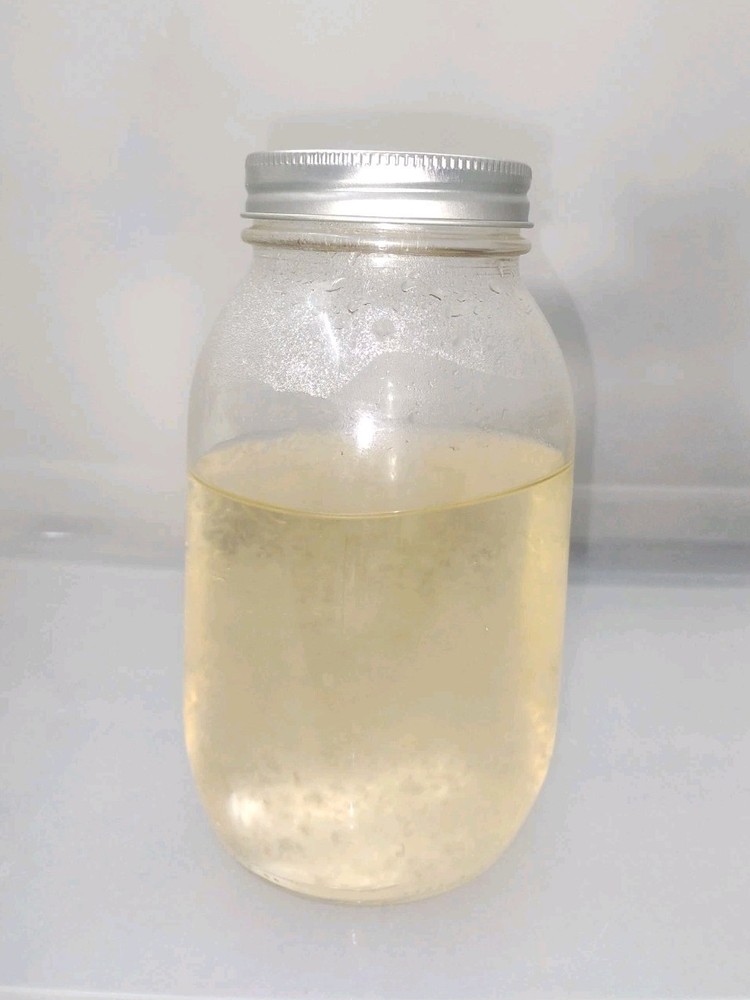 Mushroom Liquid Culture Solution Sterile Ready To Use 800ml