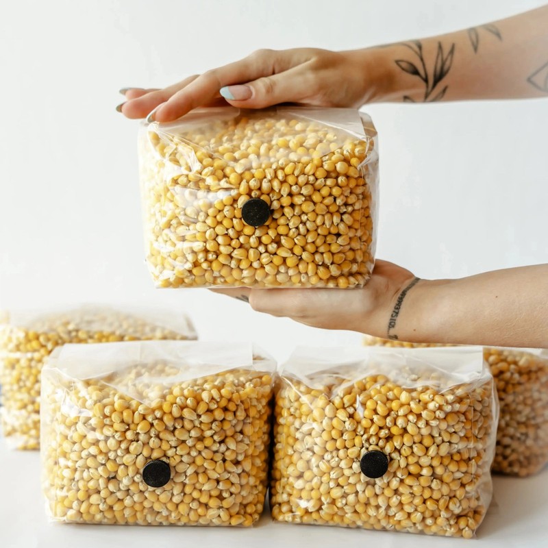 3 Pack | 3lb Drippy Corn Grain Spawn gallery