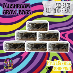 6 Pack All-in-One Mushroom Grow Kit in a Bag | MAX YIELD | 6lbs | 36 lbs total!!