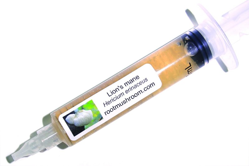 Lion's Mane Liquid Culture 10cc Vegetarian Gmo-Free Mushroom Grow Kit gallery