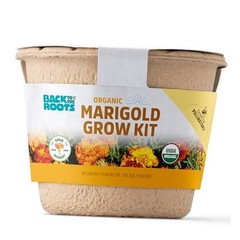 Organic Marigold Flower Grow Kit with Plantable Starting Marigold Flower Kit