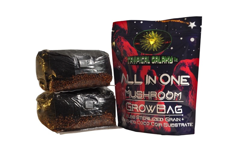 Double The Mushroom Bags, 2x 2lb All-in-One Grow Bags ( Just Add Spores) gallery