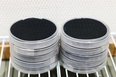 Pre-Poured and Sealed Agar Petri Dish Plates for Mushrooms and Growers in Canada
