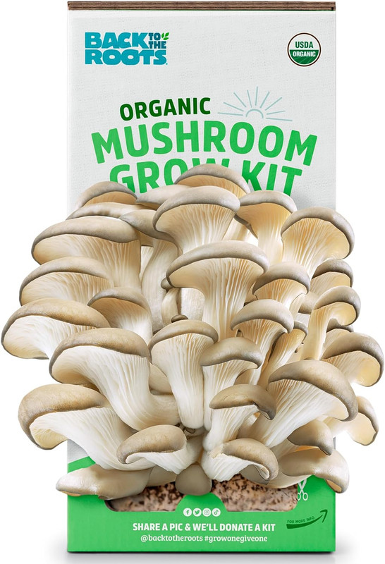 Organic Oyster Mushroom Grow Kit, Harvest Gourmet Mushrooms in 10 Days gallery