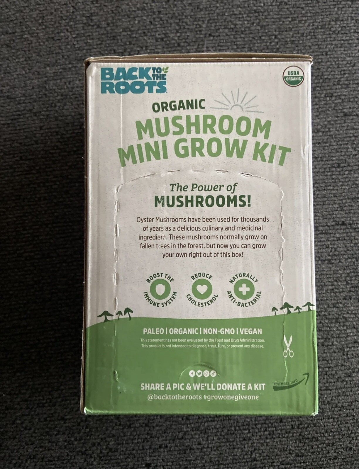 Back to the Roots Organic Mini Mushroom Grow Kit Harvest Gourmet Oyster NEW gallery