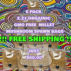 6 Pack 2.2 Lb Organic Millet Mushroom Spawn Bag