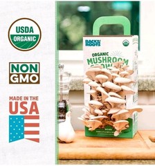 Back to the Roots Organic Mushroom Growing Kit, Harvest Gourmet Oyster Mushrooms