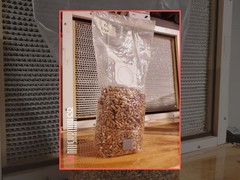 Pre-made Sterile Oat Grain Spawn Bags 1lb