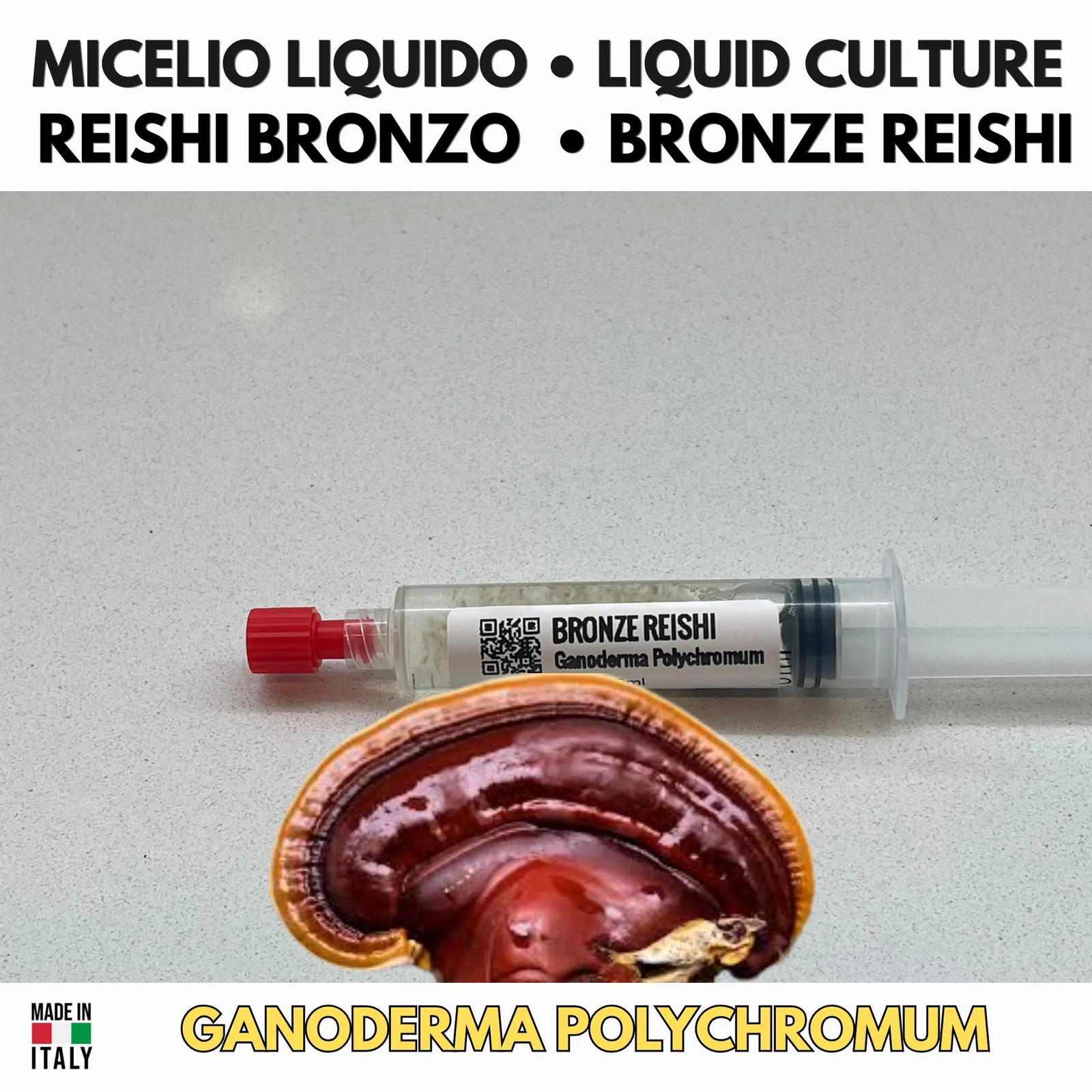 Ganoderma polychromum Reishi Bronze Liquid Culture 10ml Premium Mycelium gallery