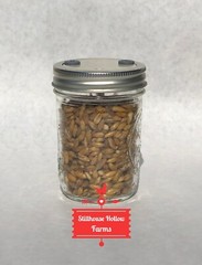 Whole Oat Jars, Pre-Sterilized and READY TO GROW! Oat Tek