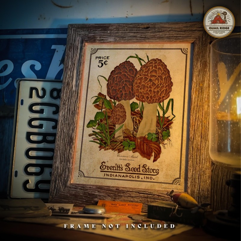 Morel Mushrooms Art Print 11x14 Mushroom Hunting Artwork Cabin Wall Decor Gift gallery