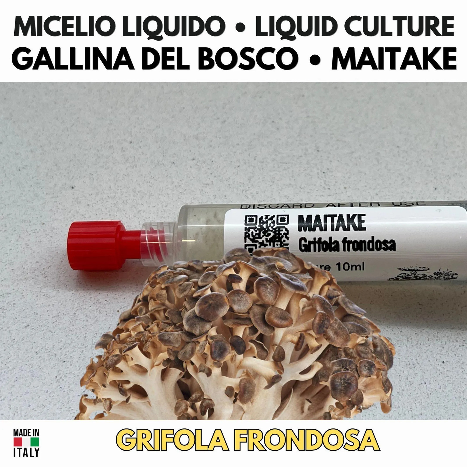 Maitake Mycelium Vivo 10ml Liquid Culture Laboratory Grade Leafy Faucet gallery
