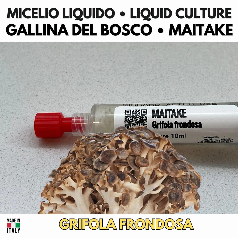 Maitake Mycelium Vivo 10ml Liquid Culture Laboratory Grade Leafy Faucet