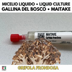 Maitake Mycelium Vivo 10ml Liquid Culture Laboratory Grade Leafy Faucet