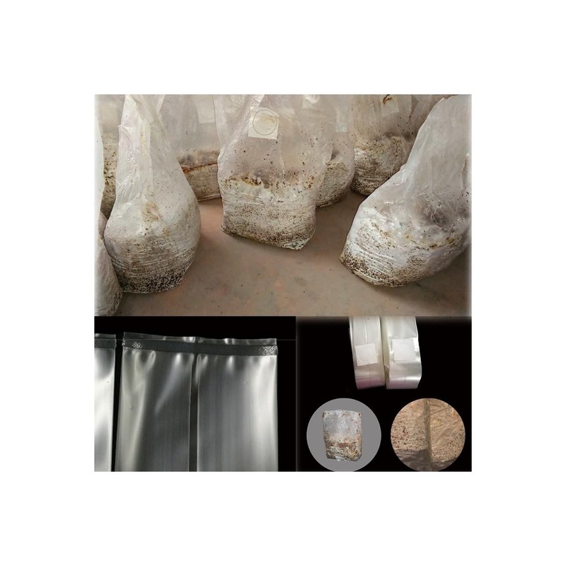 Large Mushroom Spawn Bags 10 Count for Substrate Autoclavable Cultivation gallery