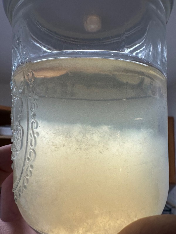 Professional Liquid Culture Premix with Soy-Peptone 100g Pouch gallery