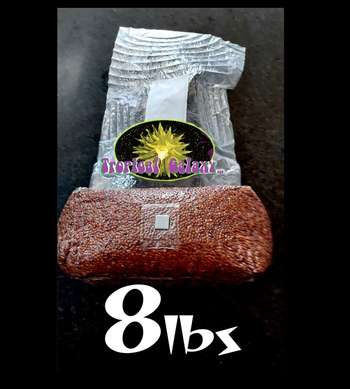80lbs Bulk Sterilized Grain for Mushroom Spawn ,10x 8lb Bags, 80lbs Total gallery