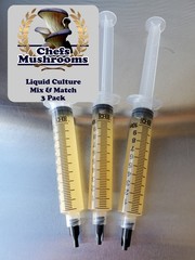 Mix & Match Liquid Culture – 12cc Syringes – 3 Pack – Chefs Mushrooms