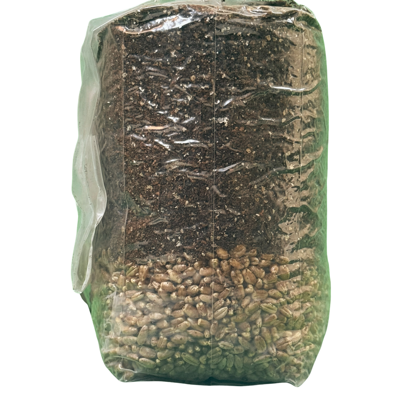 All-In-One (AIO) Grow bag For Dung Loving Mushrooms - Sterile Unicorn Bag gallery