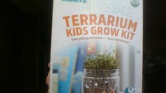 Brand NEW! Terrarium Mason Jar Kids Grow Kit- Organic Microgreens in 7 days! WOW