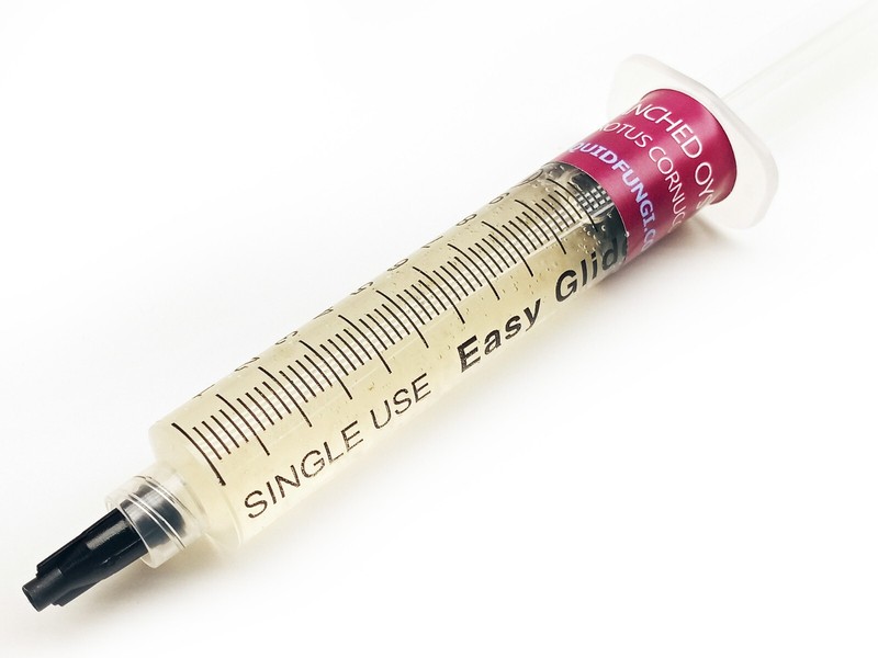 Branched Oyster Mushroom Liquid Fungi Live Culture Syringe 10ml gallery