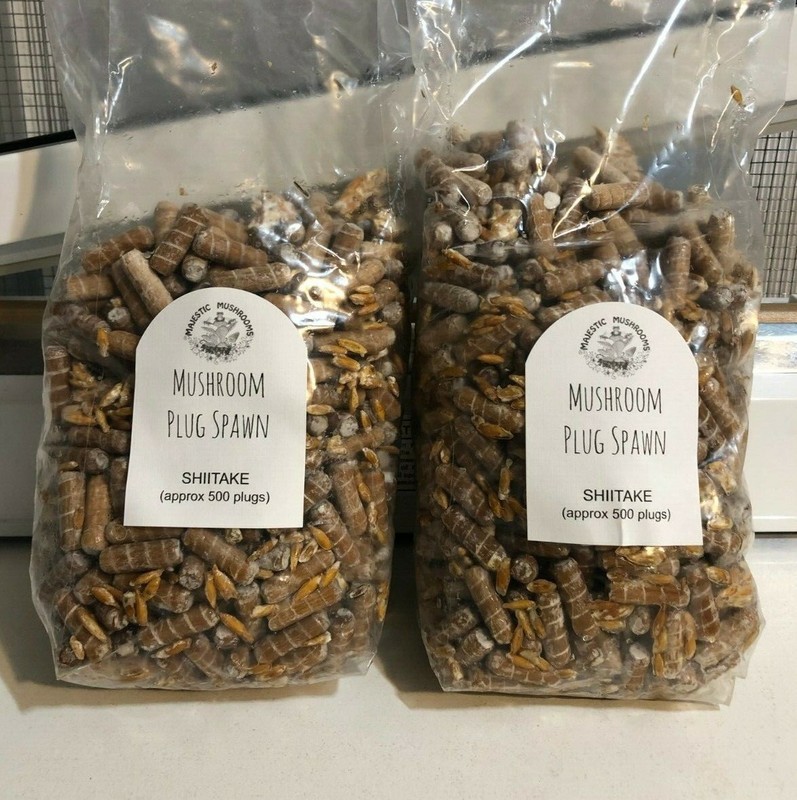 Shiitake Mushroom Plug Spawn 1000X Combo w/ drill bit & wax - FREE USA shipping gallery