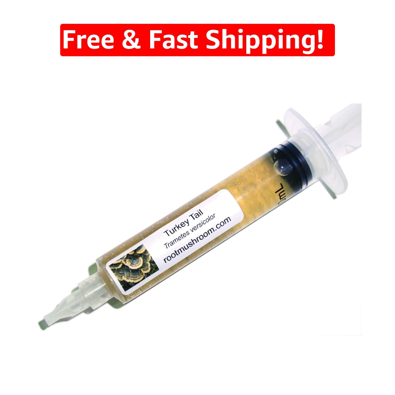 Diverse 30 Varieties Mushroom Liquid Culture - Turkey Tail (Trametes versicolor) gallery