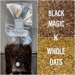 Premium Exotic Dung ALL-IN-ONE Mushroom Grow Kit 1 Pack Kit 3.5lb Mixed Bag