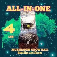 4lb All-in-One Mushroom Grow Bag | Easy To Use | New Size!