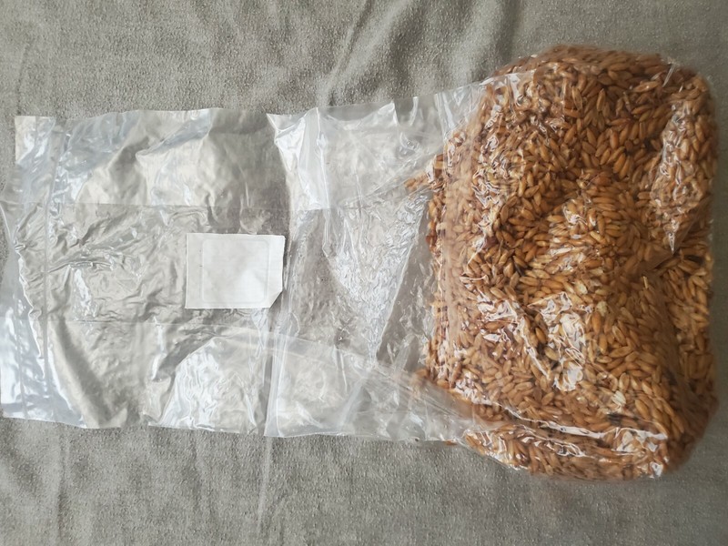 Sterilized Oat Grain Spawn with gypsum, 3lb Bag for Mushroom Cultivation gallery