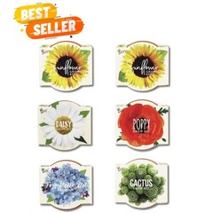 Seeds Daydream Collection Mini Terracotta Grow Kit 6-Pack – Mini Terracotta P…