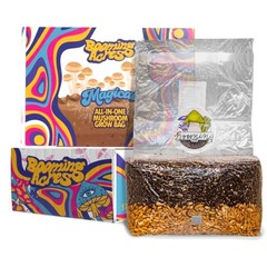 5lb Mushroom Grow Kit – Effortless Grow Bag for Gourmet Mushrooms