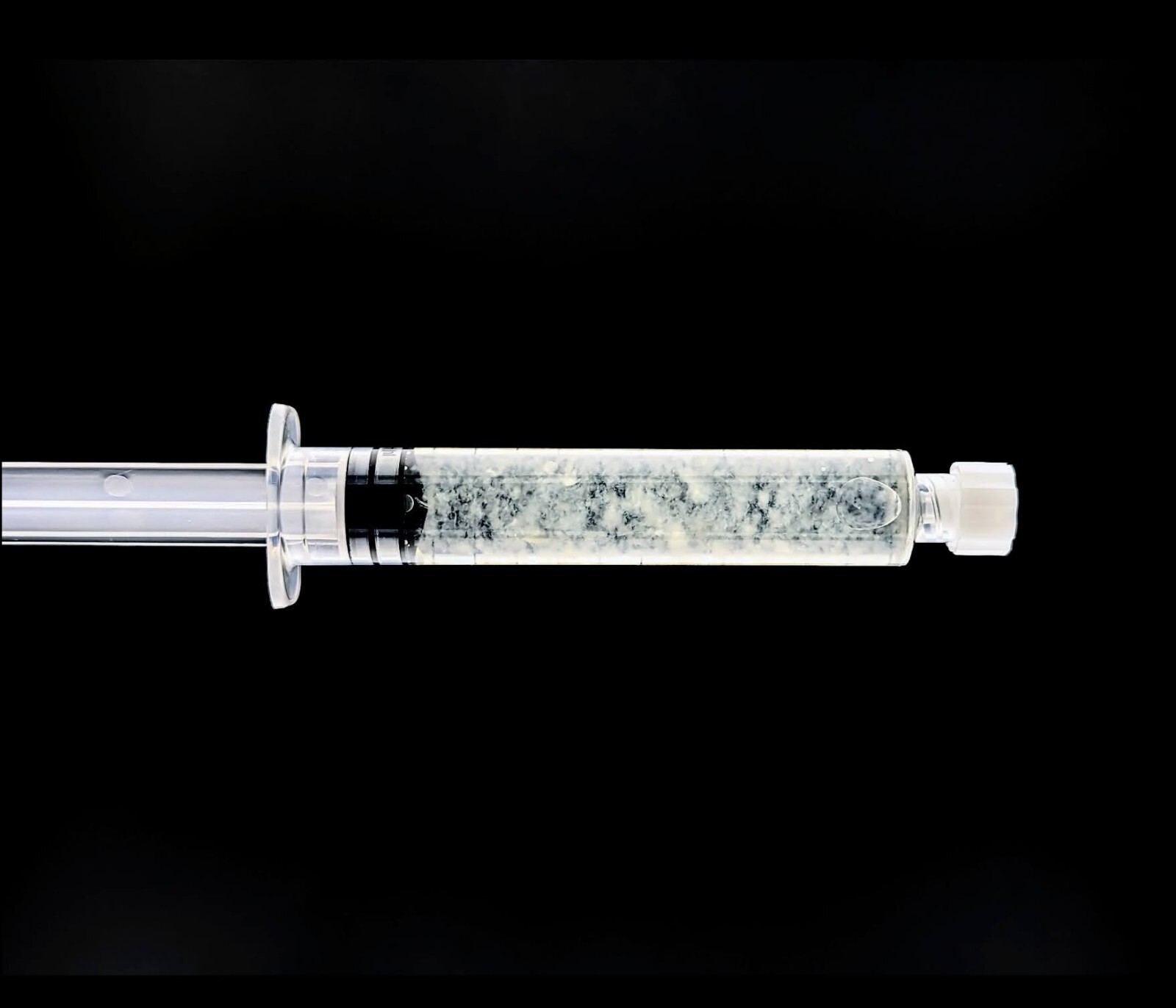 White Enoki Mushroom liquid culture Flammulina filiformis gallery