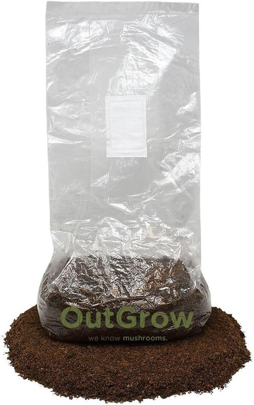 Hardwood Based Mushroom Substrate For Wood Loving Mushrooms (5lbs) gallery
