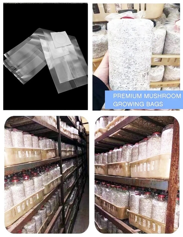 Mushroom Grow Bags Grain Substrate Mycelium Seeds W4" x D3.5'' x L13” Sealable gallery