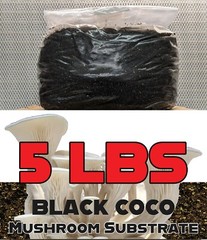 5 LBS Black Coco Mushroom Substrate